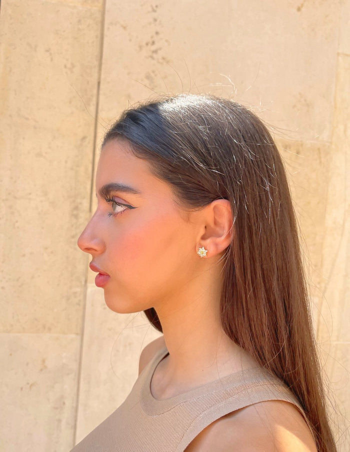 611fc05e3c4ce80992caae23_earrings_1763436274055.jpg