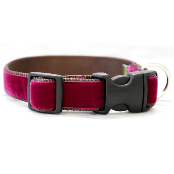 Merlot Velvet Collar