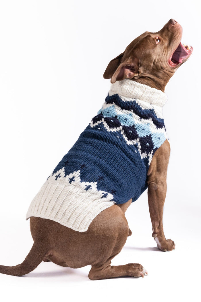 Midnight Ski Bum Dog Sweater