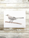 611fc05e3c4ce80992caae23_mockingbird-print_1774990542425.jpg