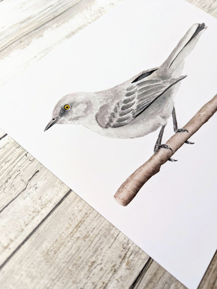 611fc05e3c4ce80992caae23_mockingbird-detail_1774990542424.jpg