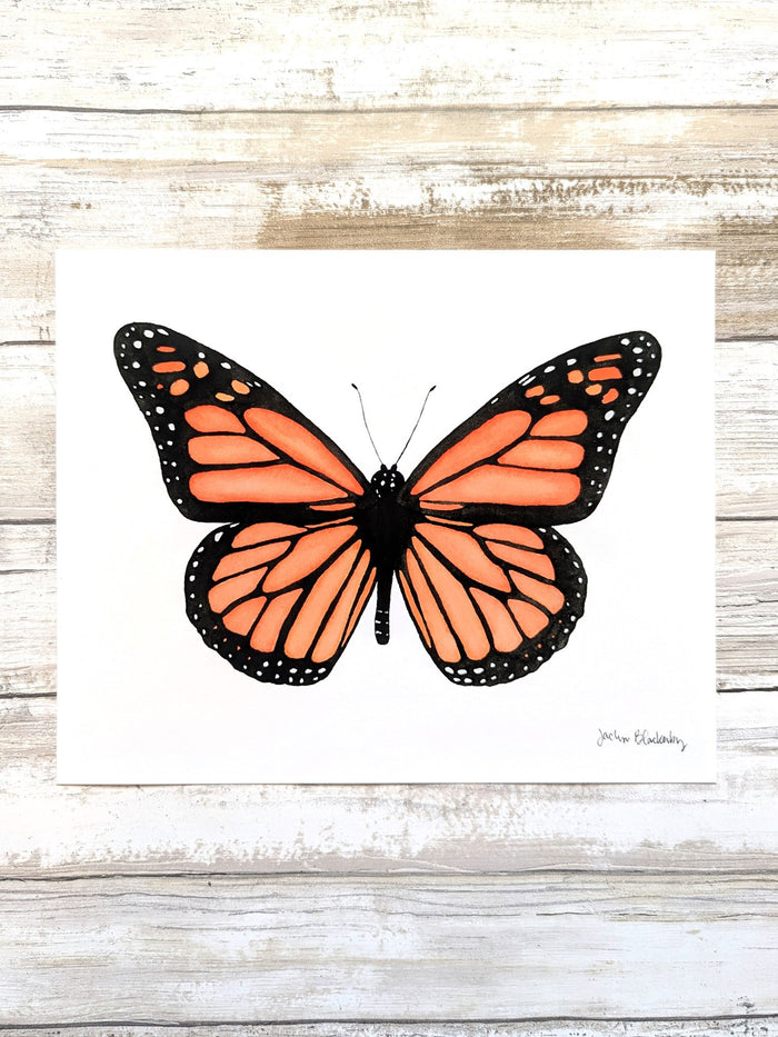 611fc05e3c4ce80992caae23_monarch_1752700034898.jpg