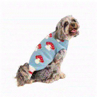 Mushroom Dog Sweater