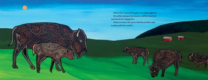 Napesni Renegade : A Bison's Journey (HC)