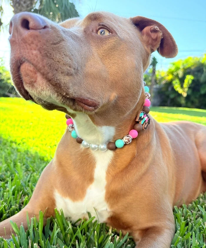 Neon Mustang Beaded Collar