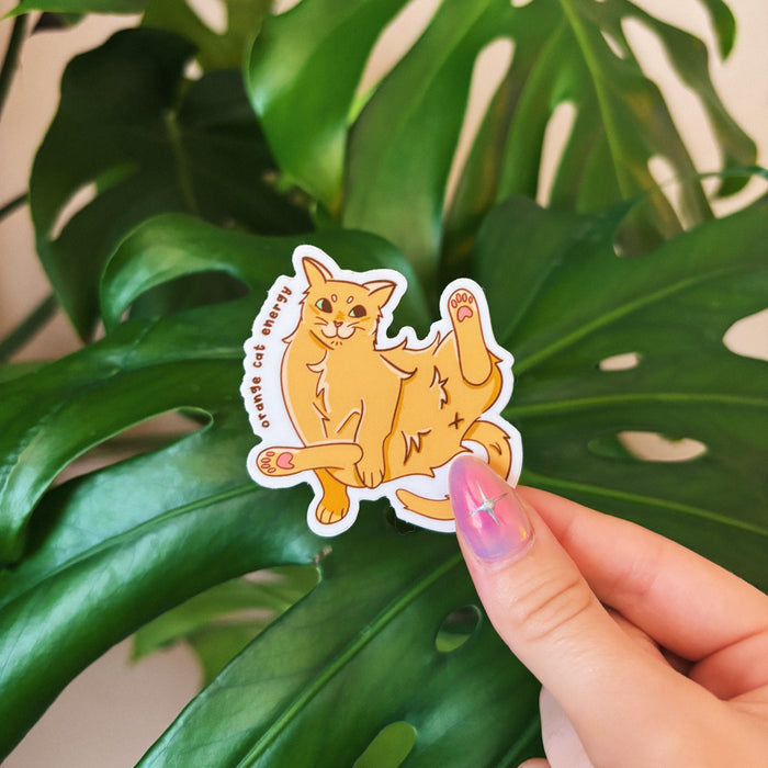 611fc05e3c4ce80992caae23_orange-cat-energy-2_1768866690506.jpeg