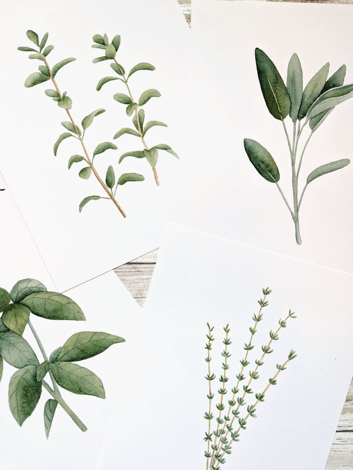 611fc05e3c4ce80992caae23_herbs-prints_1774991336112.jpg