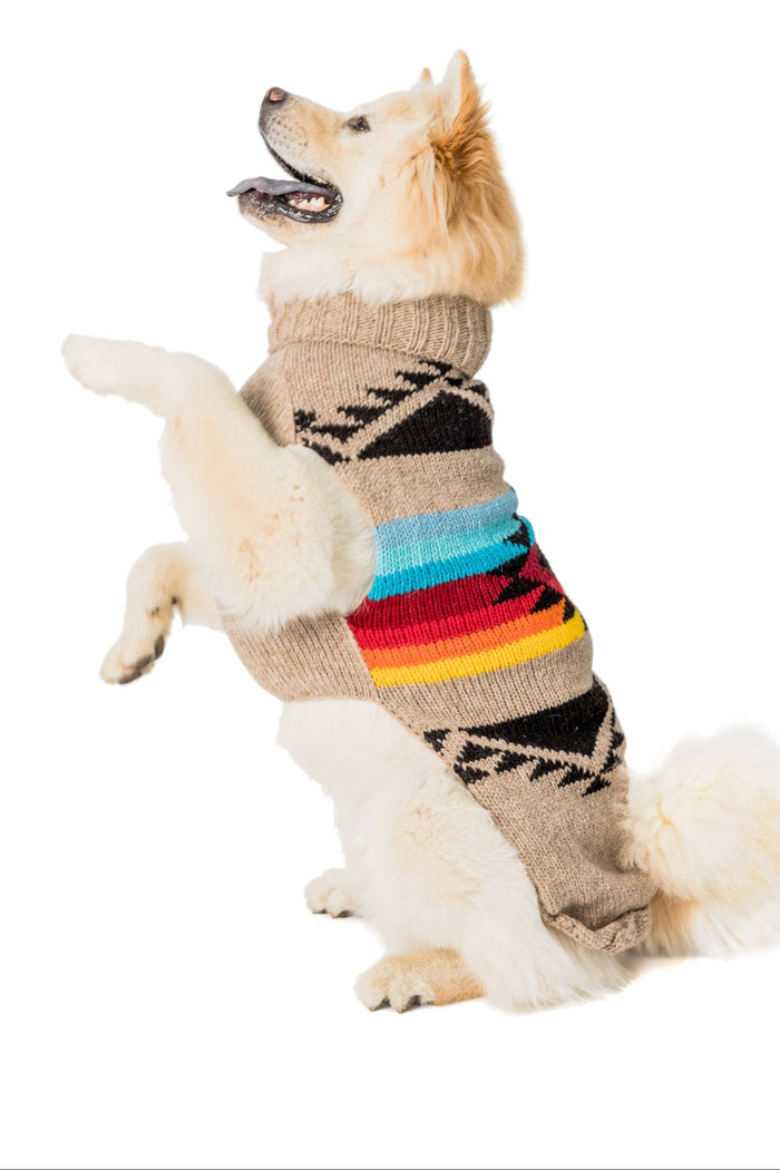 Painted Desert Dog Sweater