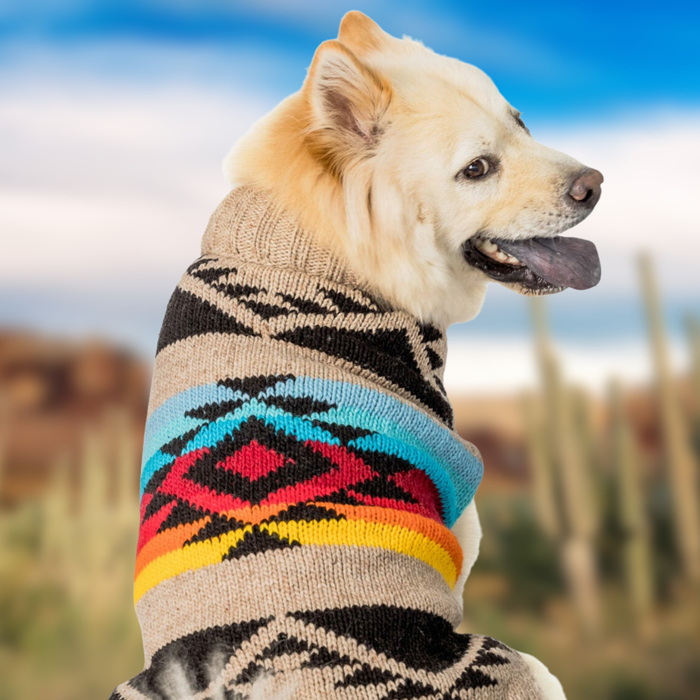 Painted Desert Dog Sweater