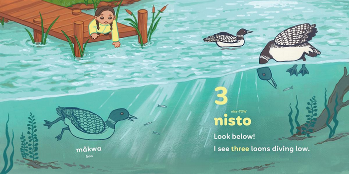 Pêyak Little Duck. Bilingual Ed. Plains Cree & English. (FNCR 2026)