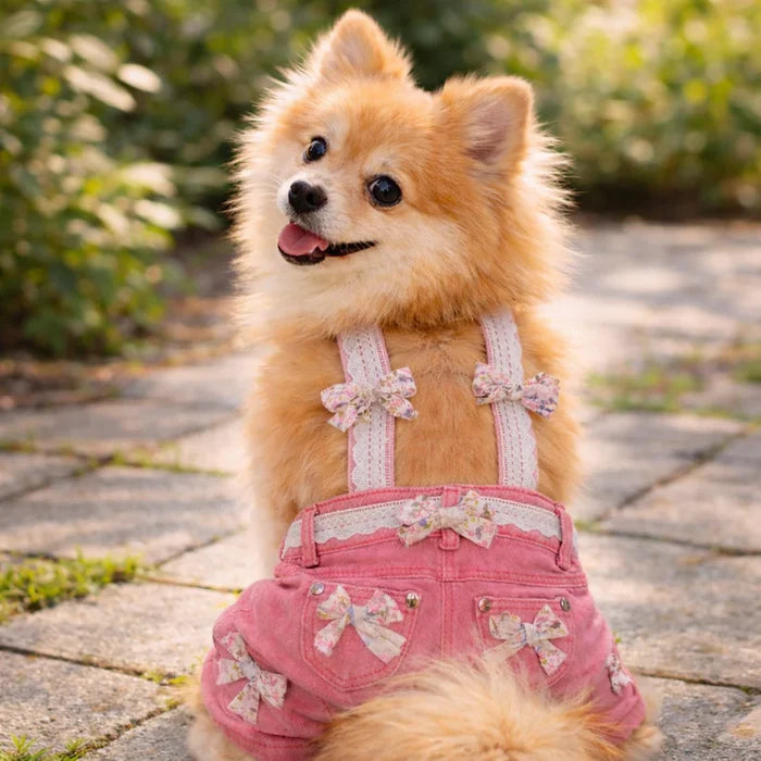 Pink Lace Overalls