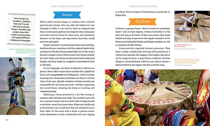Powwow : A Celebration Through Song and Dance (PB)