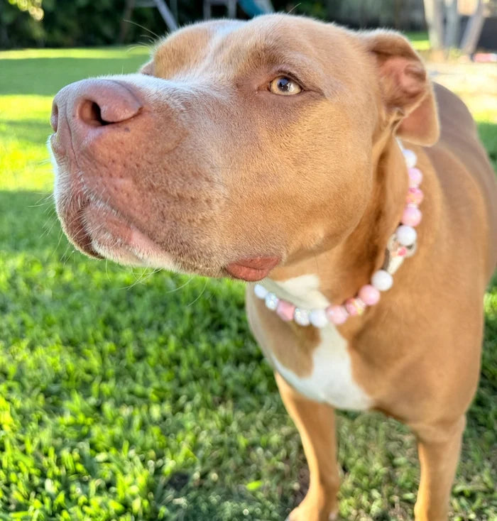 Prairie Rose Beaded Collar
