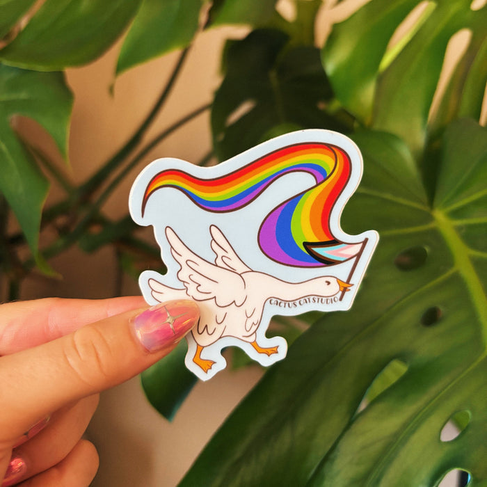 611fc05e3c4ce80992caae23_pride-goose-2_1768866839984.jpeg