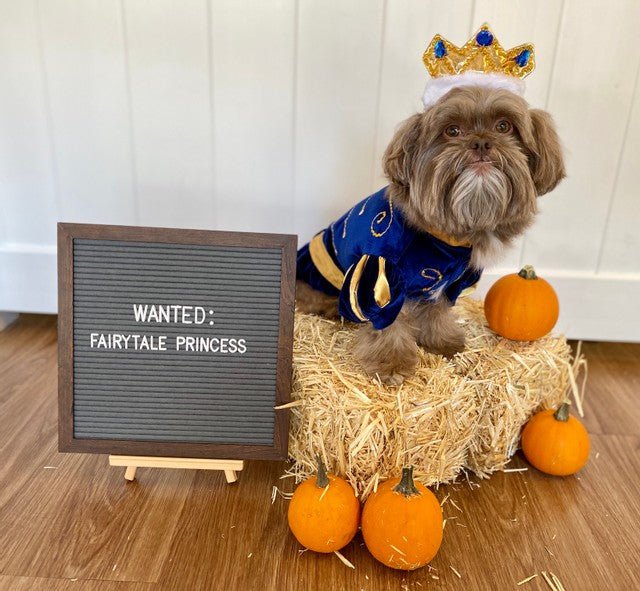 Prince Charming Costume - Posh Puppy Boutique