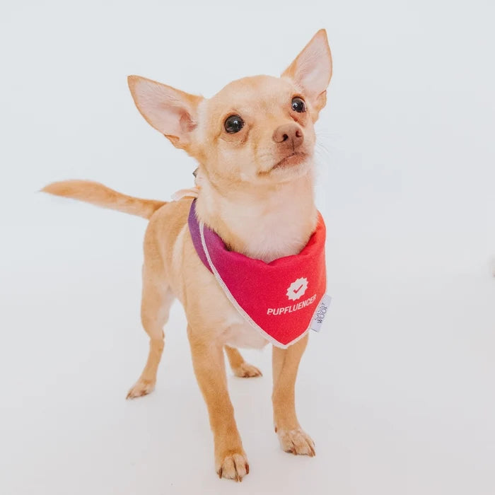 Pupfluencer Bandana