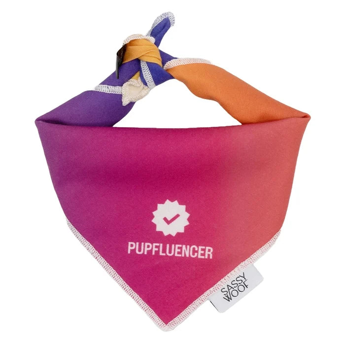 Pupfluencer Bandana