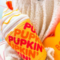 Pupkin' Donuts Iced Coffee