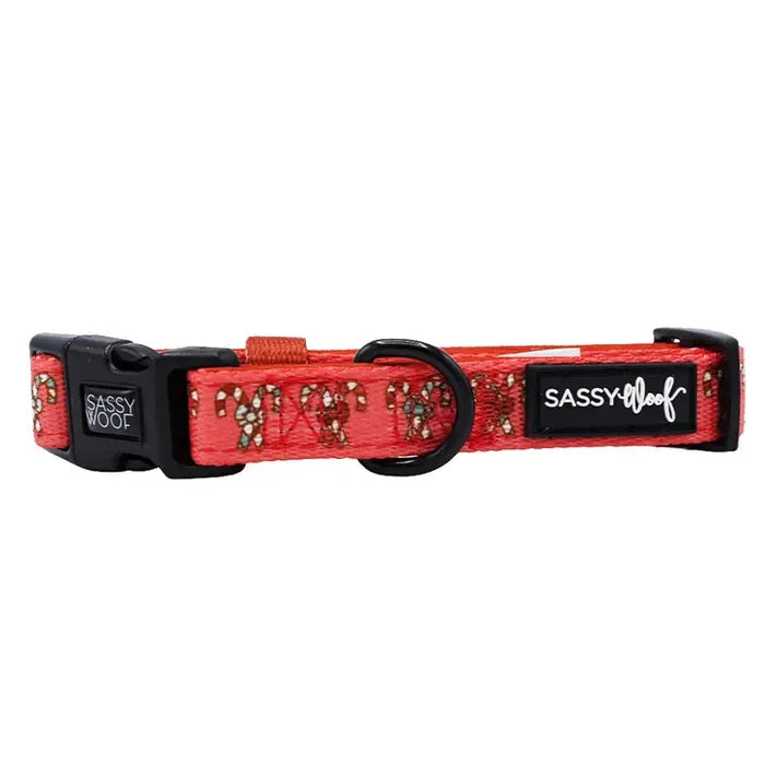 Puppermint Twist Dog Collar