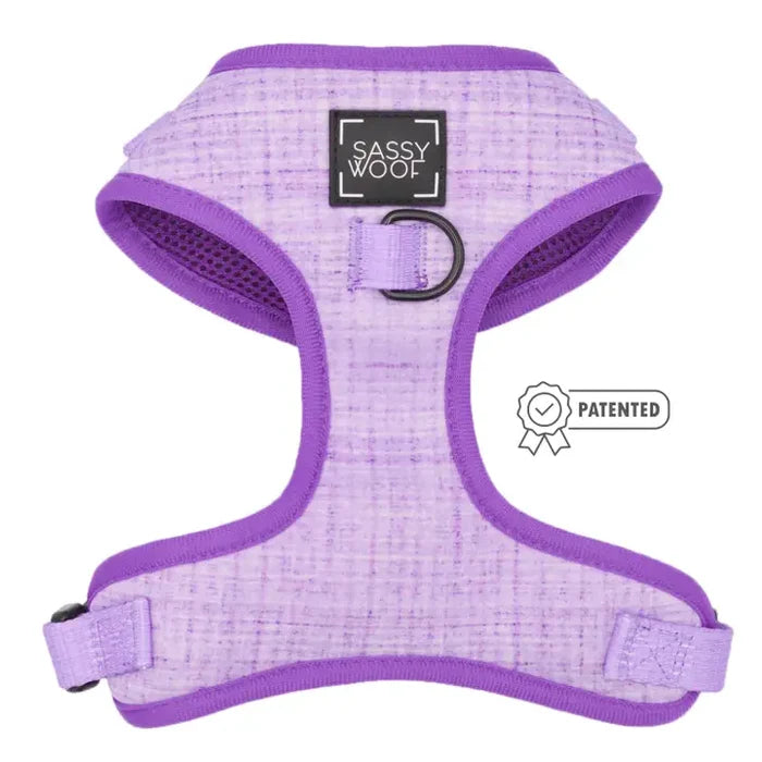 Purple Aurora Adjustable Harness