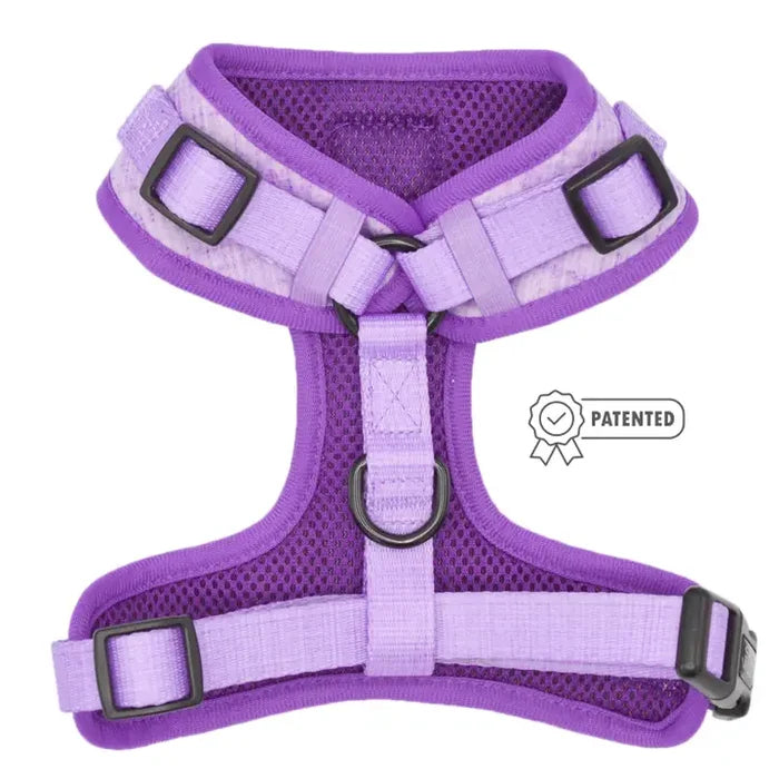 Purple Aurora Adjustable Harness