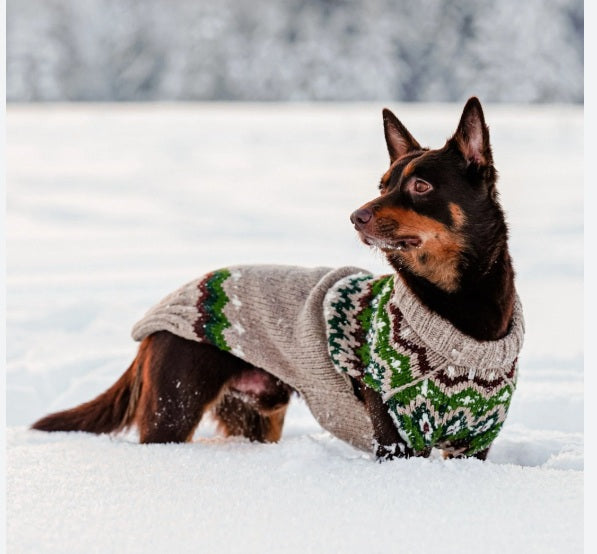 Ragg Wool Fair Isle Dog Sweater