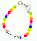 Rainbow Pride Beaded Pet Collar