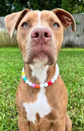 Retro Video Game Collar in White - Posh Puppy Boutique