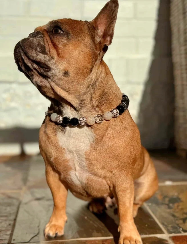 Rhinestone Rodeo Beaded Collar