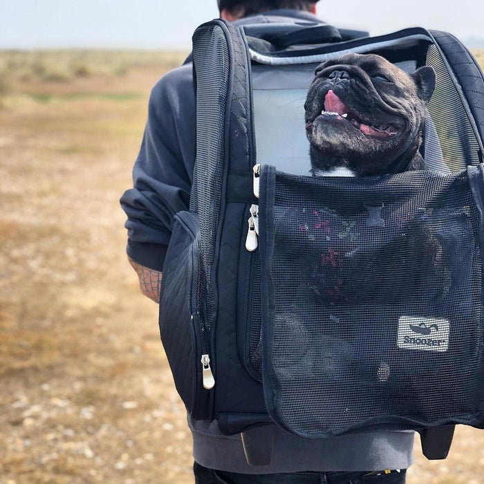 Roll Around Travel Dog Carrier Backpack in Black - Posh Puppy Boutique