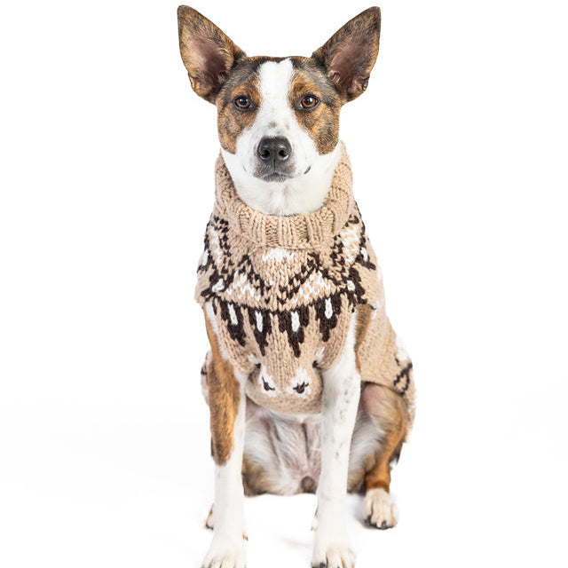 Sandy Cable Knit Dog Sweater
