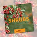 Shrubs in Manitoba