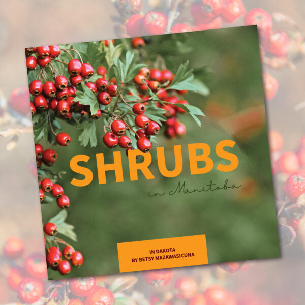 Shrubs in Manitoba