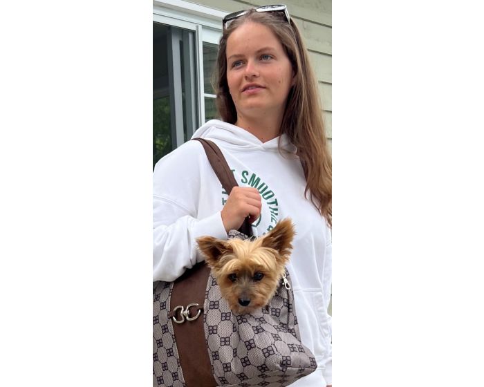 Signature Collection Carrier in Coco - Posh Puppy Boutique
