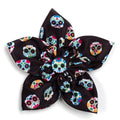 Skeletons Flower Collar Slider - Posh Puppy Boutique