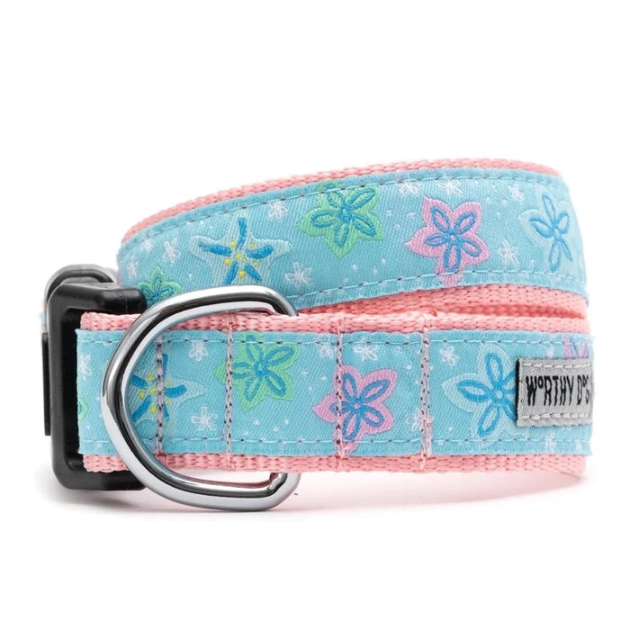 Starfish Floral Collar & Lead