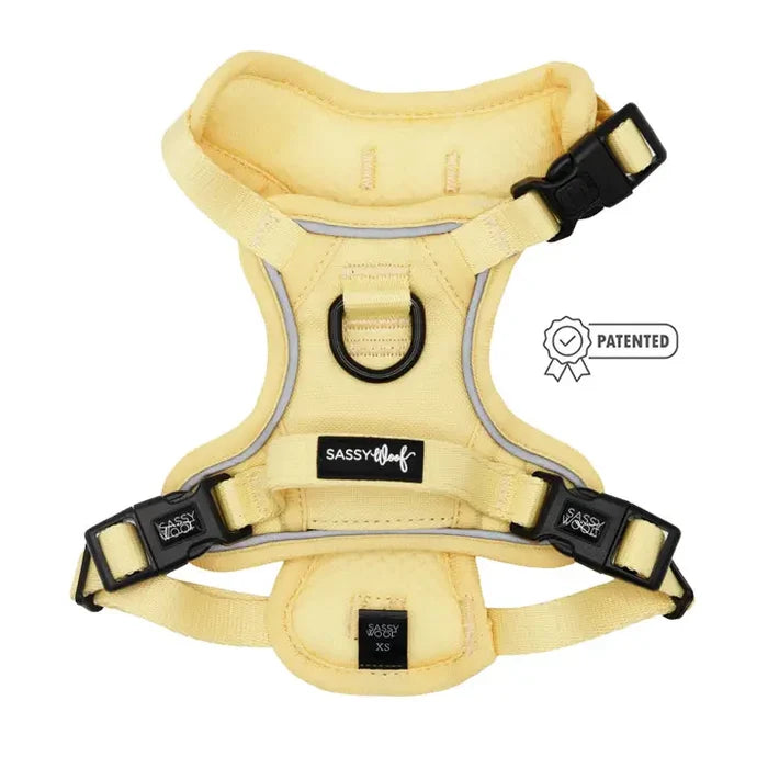 Step-in Harness - Spring Daffodil