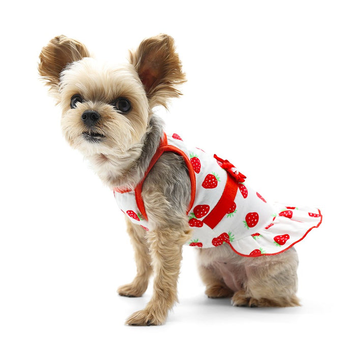 Strawberry Dress - Posh Puppy Boutique