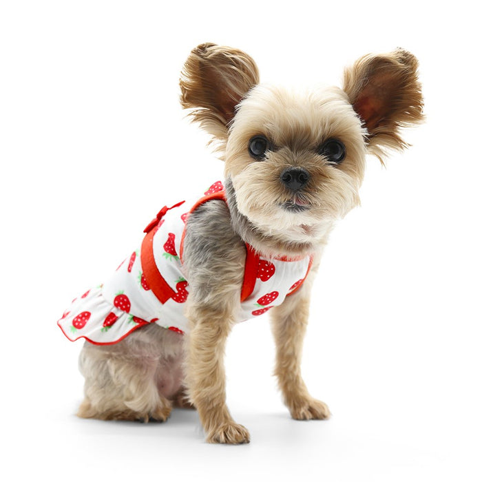 Strawberry Dress - Posh Puppy Boutique