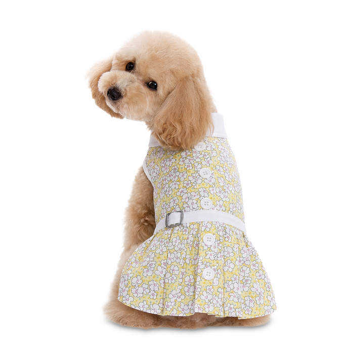 Summer Daisy Dress