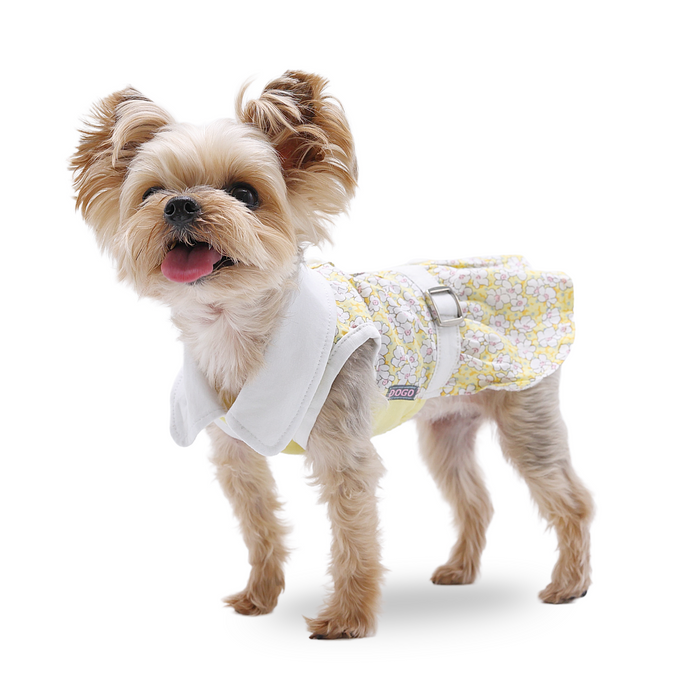 Summer Daisy Dress