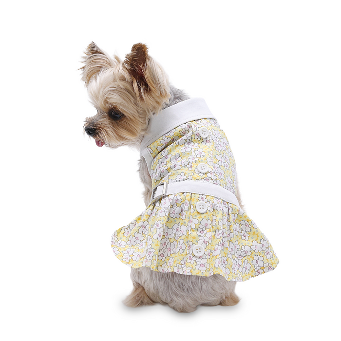 Summer Daisy Dress