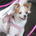 Susan Lanci Rosewood Nouveau Bow with Pink Giltmore Step In Harness