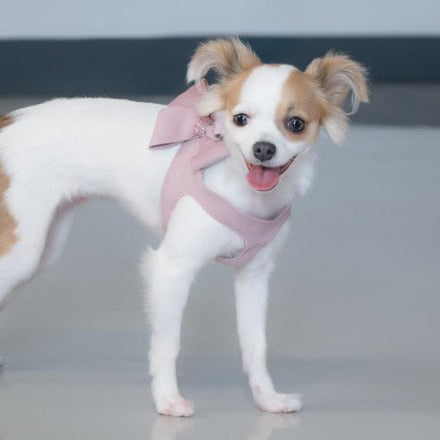 Susan Lanci Rosewood Nouveau Bow with Pink Giltmore Step In Harness