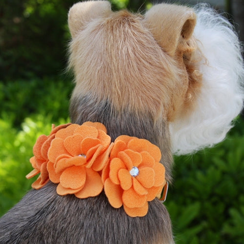 Susan Lanci Tinkie's Garden Ultrasuede Collar in Many Colors - Posh Puppy Boutique