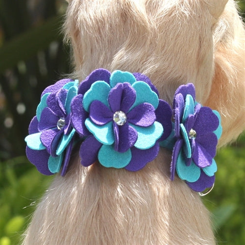 Susan Lanci Violet Collar - Posh Puppy Boutique
