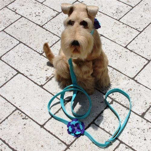 Susan Lanci Violet Collar - Posh Puppy Boutique