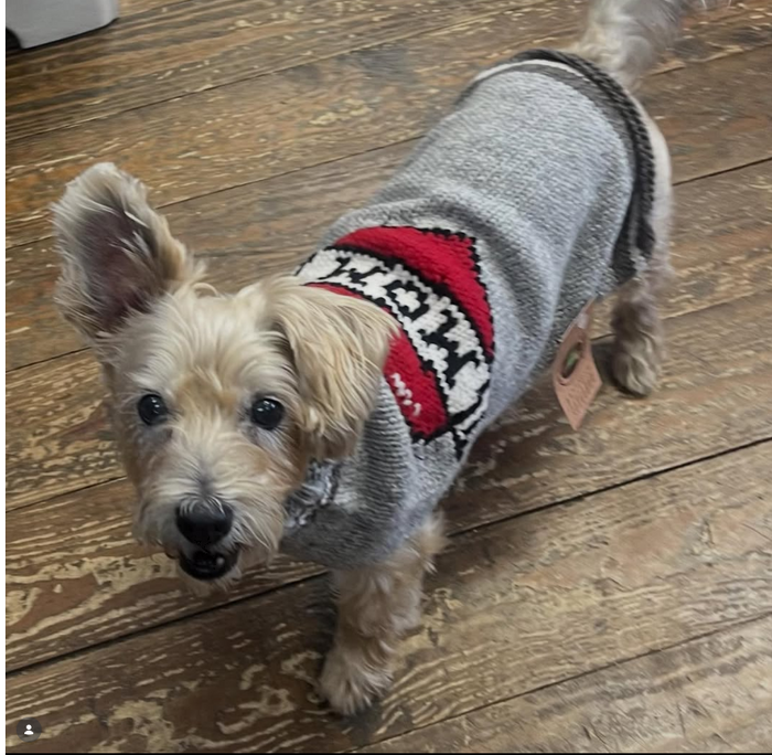 Tattooed Mom Dog Sweater