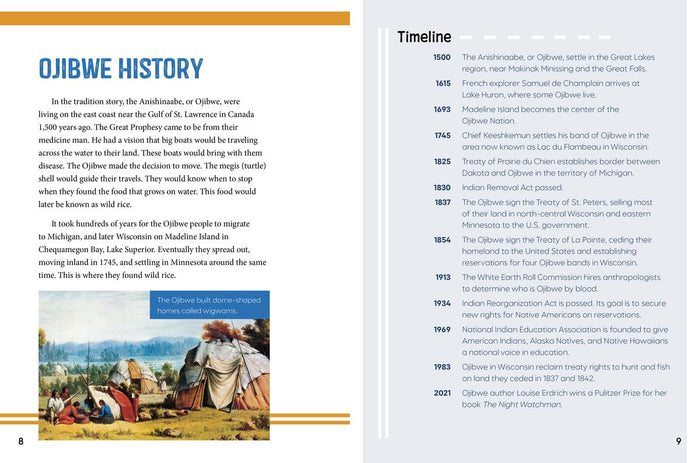 The Ojibwe : People, Culture, and History (PB)