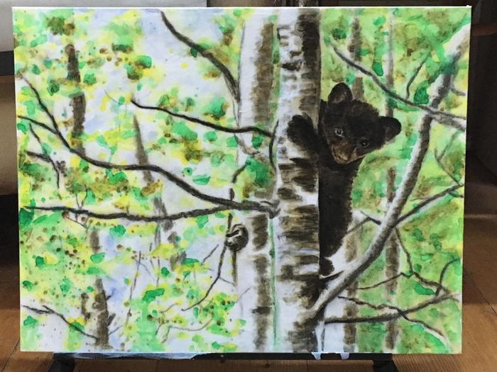 The Tree by the Woodpile And Other Dene Spirit of Nature Tales